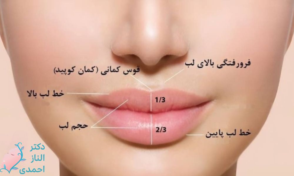 منظور از تزریق ژل لب به روش عروسکی چیست؟