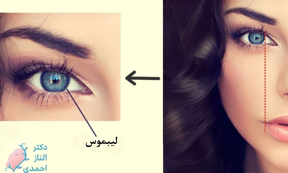 طول لب‌ها