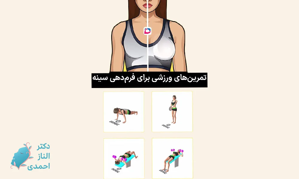 تمرین‌های ورزشی برای فرم‌دهی سینه