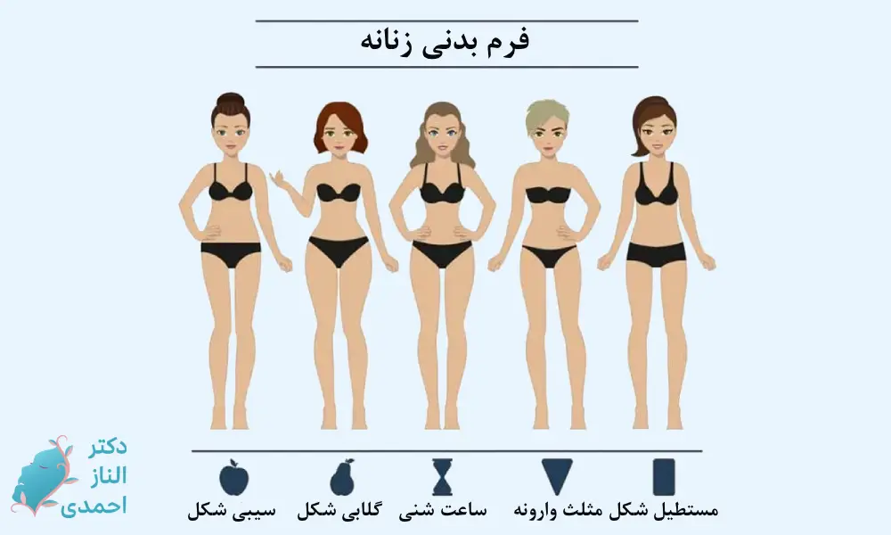 فرم بدن زنانه