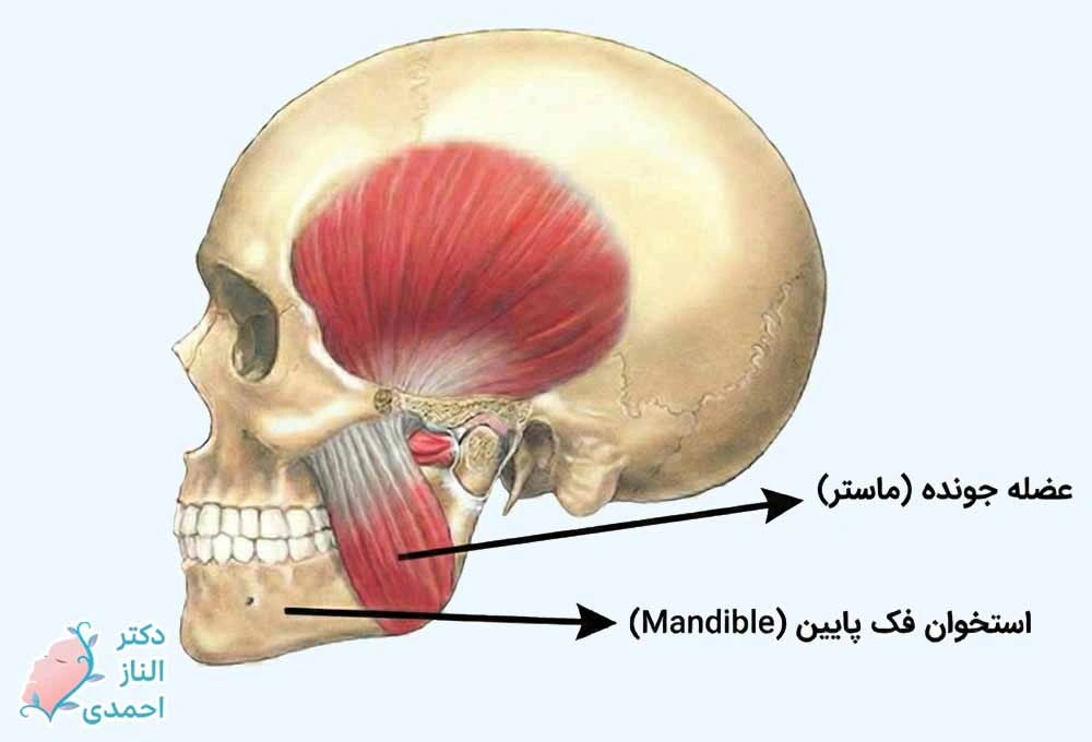 ورزشهای صورت